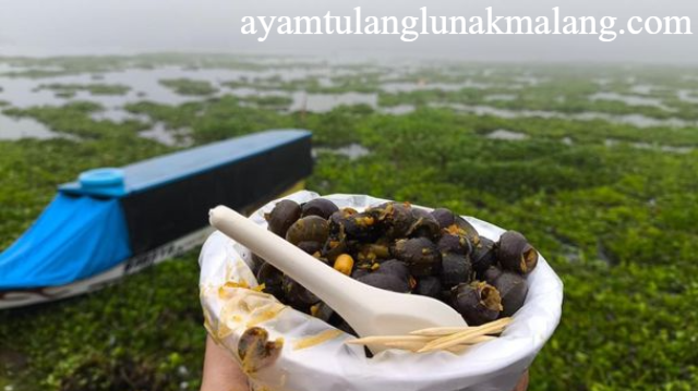 Tutut Dadakan Rempah Waduk Darma Kuningan